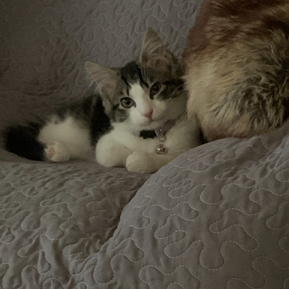 Meet your Posher, Kim - Picture 8 of 16